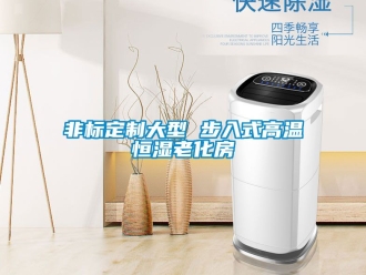 知識(shí)百科非標(biāo)定制大型 步入式高溫恒濕老化房