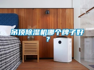 企業(yè)新聞吊頂除濕機哪個牌子好？