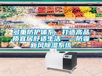 企業(yè)新聞多重防護(hù)體系，打造高品質(zhì)宜居舒適生活——防霾新風(fēng)除濕系統(tǒng)