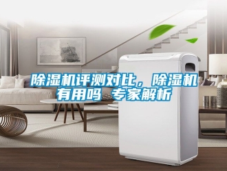 行業(yè)新聞除濕機(jī)評測對比，除濕機(jī)有用嗎 專家解析