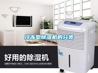 行業(yè)新聞冷凍型除濕機(jī)的分類