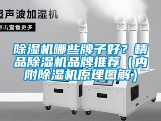 企業(yè)新聞除濕機哪些牌子好？精品除濕機品牌推薦（內(nèi)附除濕機原理圖解）