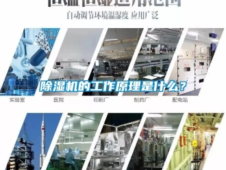 企業(yè)新聞除濕機(jī)的工作原理是什么？