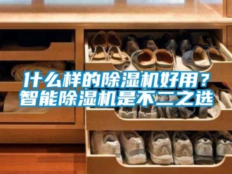 知識(shí)百科什么樣的除濕機(jī)好用？智能除濕機(jī)是不二之選