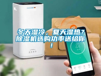 企業(yè)新聞冬天濕冷，夏天濕熱？除濕機選購功率送給你！