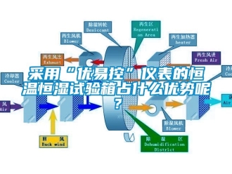 知識(shí)百科采用“優(yōu)易控”儀表的恒溫恒濕試驗(yàn)箱占什么優(yōu)勢(shì)呢？