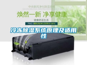 行業(yè)新聞冷凍除濕系統(tǒng)原理及適用性