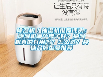 企業(yè)新聞除濕機／抽濕機推薦評測：除濕機哪個牌子好？抽濕機真的有用嗎？怎么選？具體品牌型號推薦