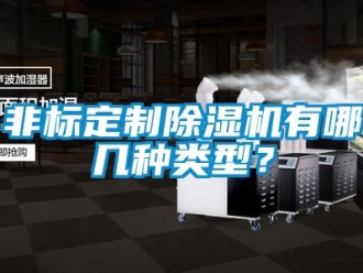 行業(yè)新聞非標(biāo)定制除濕機有哪幾種類型？