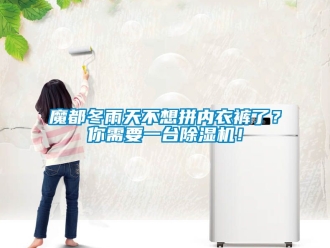 行業(yè)新聞魔都冬雨天不想拼內衣褲了？你需要一臺除濕機！