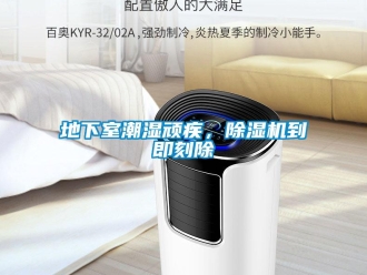 企業(yè)新聞地下室潮濕頑疾，除濕機(jī)到即刻除