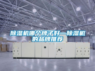 企業(yè)新聞除濕機(jī)哪個(gè)牌子好—除濕機(jī)的品牌推薦
