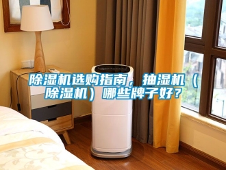 行業(yè)新聞除濕機(jī)選購指南，抽濕機(jī)（除濕機(jī)）哪些牌子好？