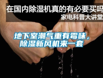 企業(yè)新聞地下室潮氣重有霉味，除濕新風(fēng)機(jī)來一套