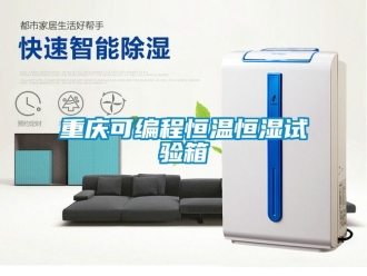 知識百科重慶可編程恒溫恒濕試驗箱
