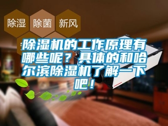 企業(yè)新聞除濕機(jī)的工作原理有哪些呢？具體的和哈爾濱除濕機(jī)了解一下吧！