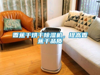 行業(yè)新聞香蕉干烘干除濕機(jī)，提高香蕉干品質(zhì)