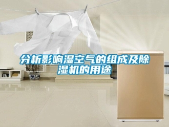 企業(yè)新聞分析影響濕空氣的組成及除濕機(jī)的用途