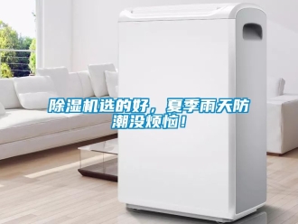 行業(yè)新聞除濕機(jī)選的好，夏季雨天防潮沒煩惱！