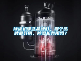 企業(yè)新聞除濕機(jī)哪些品牌好，哪個(gè)品牌最好用，除濕機(jī)有用嗎？