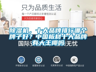 企業(yè)新聞除濕機(jī)，十大品牌排行哪個(gè)牌子好？中國(guó)板材十大品牌有大王椰嗎