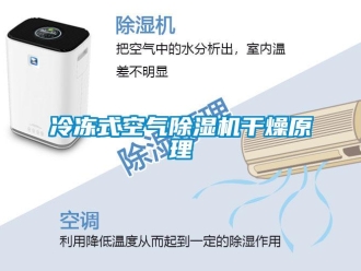 行業(yè)新聞冷凍式空氣除濕機(jī)干燥原理