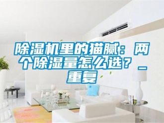 行業(yè)新聞除濕機(jī)里的貓膩：兩個(gè)除濕量怎么選？_重復(fù)