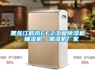 企業(yè)新聞黑龍江鶴崗CFZ工業(yè)除濕機(jī)，抽濕機(jī)、加濕機(jī)廠家