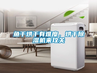 行業(yè)新聞魚干烘干有難度，烘干除濕機來攻關