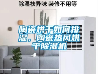 行業(yè)新聞陶瓷烘干如何排濕，陶瓷熱風(fēng)烘干除濕機(jī)