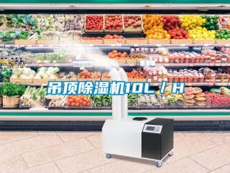 企業(yè)新聞吊頂除濕機10L／H