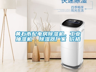 企業(yè)新聞黃石市配電房除濕機(jī)，工業(yè)抽濕機(jī)  除濕器廠家 價(jià)格
