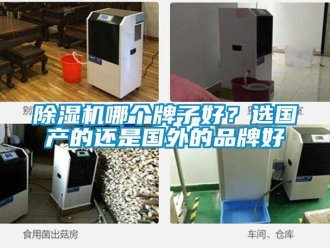 企業(yè)新聞除濕機(jī)哪個(gè)牌子好？選國(guó)產(chǎn)的還是國(guó)外的品牌好
