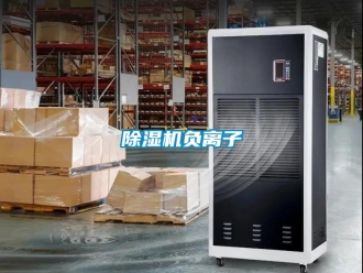行業(yè)新聞除濕機(jī)負(fù)離子