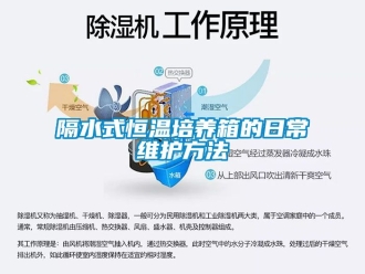 知識(shí)百科隔水式恒溫培養(yǎng)箱的日常維護(hù)方法