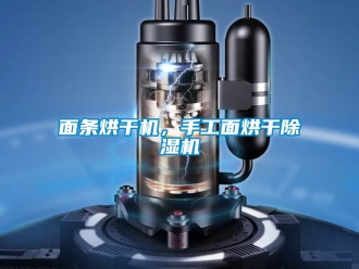行業(yè)新聞面條烘干機(jī)，手工面烘干除濕機(jī)