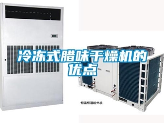 行業(yè)新聞冷凍式臘味干燥機(jī)的優(yōu)點(diǎn)