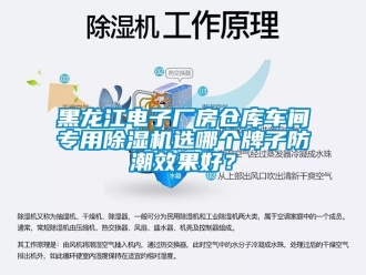 企業(yè)新聞黑龍江電子廠房倉庫車間專用除濕機(jī)選哪個(gè)牌子防潮效果好？