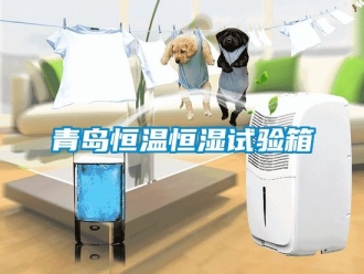 知識(shí)百科青島恒溫恒濕試驗(yàn)箱