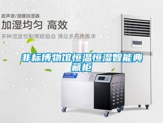 知識(shí)百科非標(biāo)博物館恒溫恒濕智能典藏柜