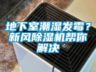 企業(yè)新聞地下室潮濕發(fā)霉？新風(fēng)除濕機(jī)幫你解決