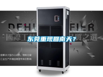 企業(yè)新聞東莞重現(xiàn)回南天？