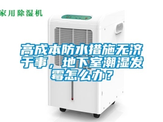 企業(yè)新聞高成本防水措施無濟(jì)于事，地下室潮濕發(fā)霉怎么辦？