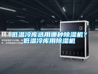 企業(yè)新聞低溫冷庫選用哪種除濕機(jī)？低溫冷庫用除濕機(jī)