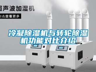 行業(yè)新聞冷凝除濕機(jī)與轉(zhuǎn)輪除濕機(jī)功能對(duì)比介紹