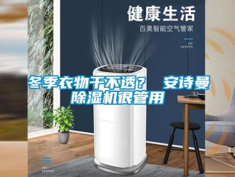 企業(yè)新聞冬季衣物干不透？ 安詩曼除濕機(jī)很管用