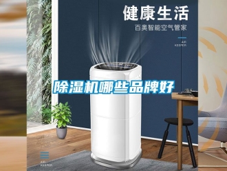 企業(yè)新聞除濕機(jī)哪些品牌好