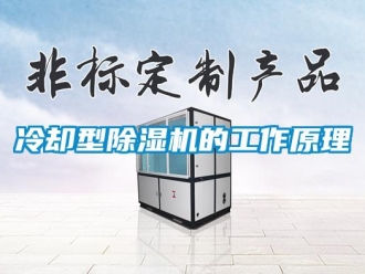 行業(yè)新聞冷卻型除濕機(jī)的工作原理