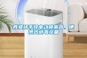 養(yǎng)豬場手提電動噴霧器，便攜式消毒設(shè)備