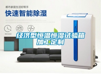 知識(shí)百科經(jīng)濟(jì)型恒溫恒濕試驗(yàn)箱加工定制